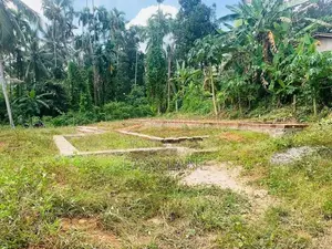 ගම්පහ - මිරිස්වත්ත වතුරුගමින් අගනා නේවාසික බිම් කොටසක් විකිණීමට