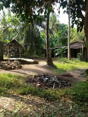 Spacious 48-Perch Property for Sale in Divulapitiya – Gampaha Road