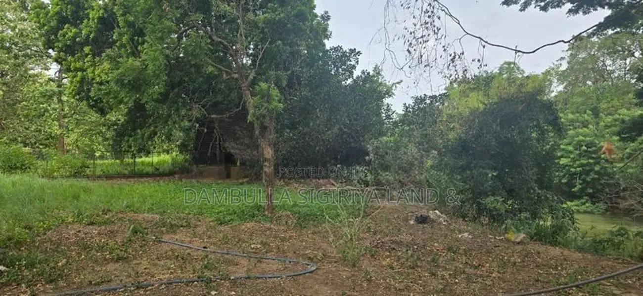 Land for Sale in Dambulla - දඹුල්ලෙන් වටිනා ඉඩමක් විකිණීමට