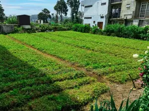 Land for Sale in Nuwara Eliya