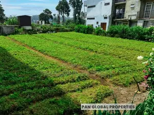 Land for Sale in Nuwara Eliya