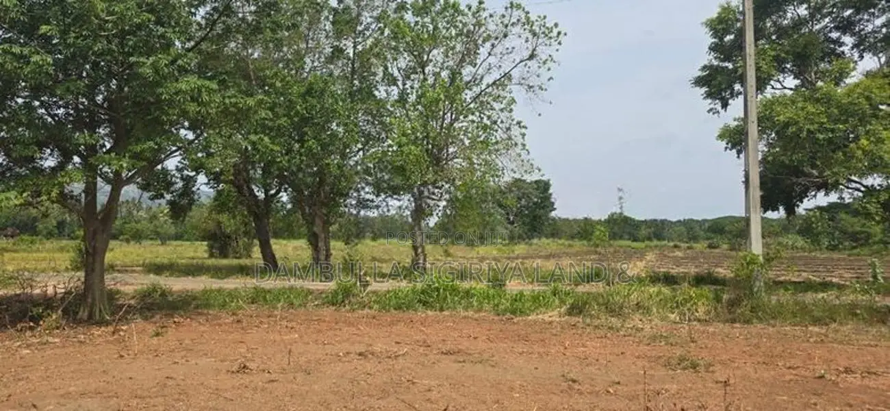 Land for Sale in Dambulla - දඹුල්ලෙන් ඉඩමක් විකිණීමට