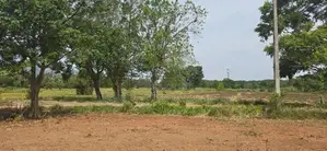 Land for Sale in Dambulla - දඹුල්ලෙන් ඉඩමක් විකිණීමට