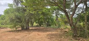 Land for Sale in Dambulla - දඹුල්ලෙන් ඉඩමක් විකිණීමට