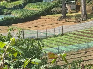 Commercial Land for Sale in Nuwara Eliya