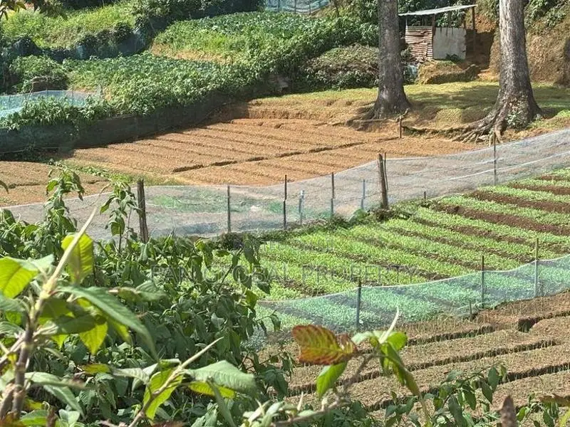 Commercial Land for Sale in Nuwara Eliya