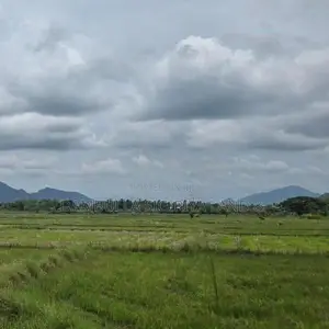 Land for Sale in Dambulla