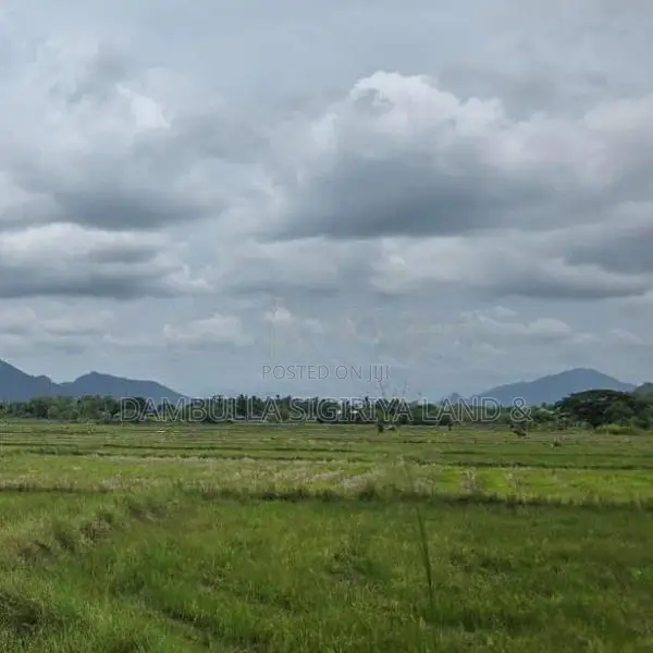 Land for Sale in Dambulla