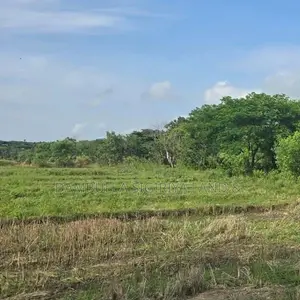 Land for Sale in Dambulla