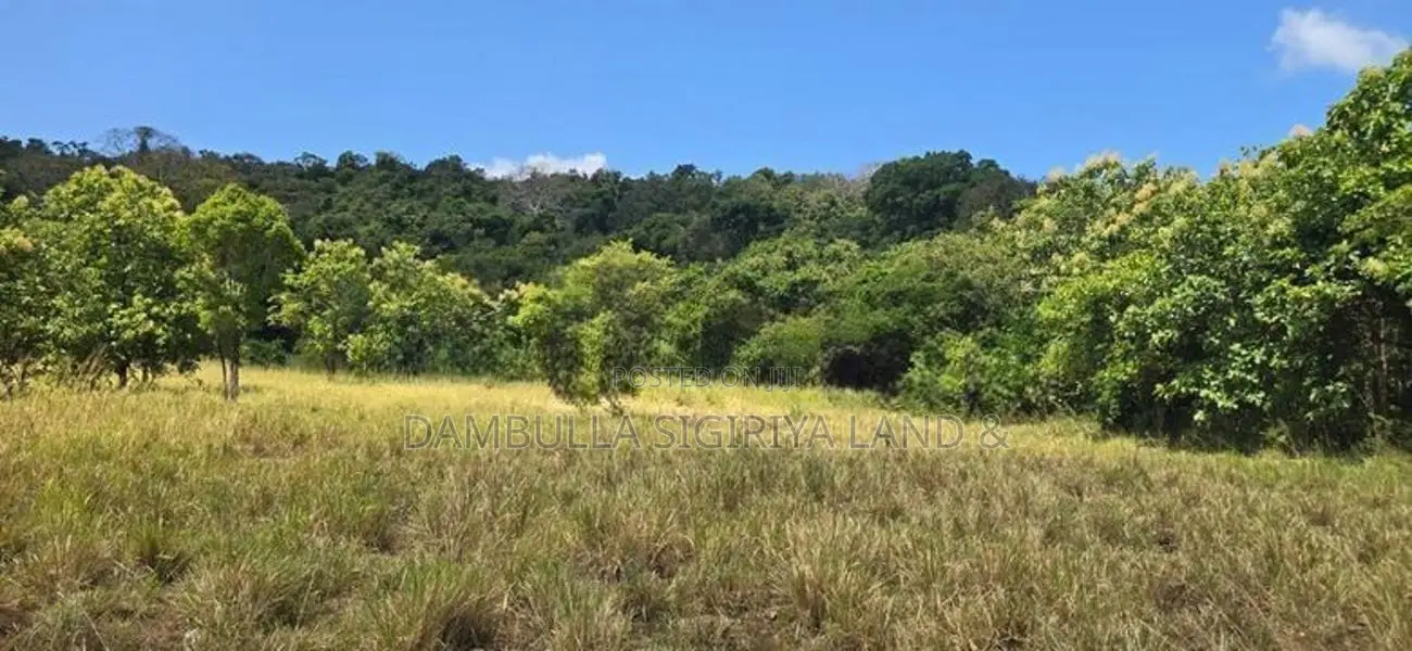 Land for Sale in Dambulla