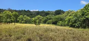 Land for Sale in Dambulla