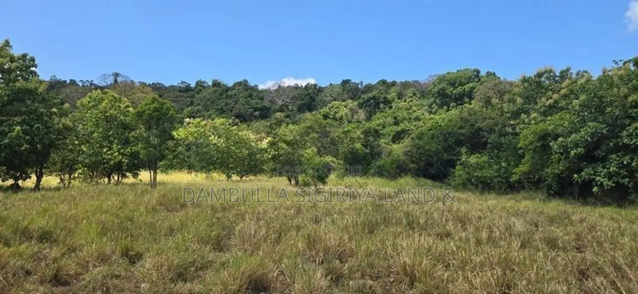 Land for Sale in Dambulla