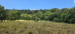 Land for Sale in Dambulla