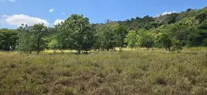Land for Sale in Dambulla