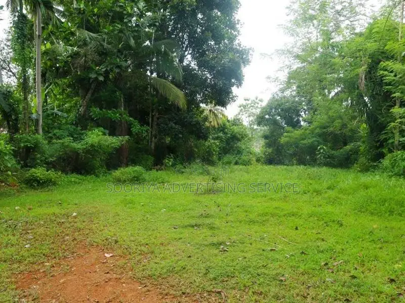 Prime Residential Land for Sale near NSBM