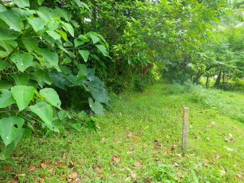 Prime Residential Land for Sale near NSBM