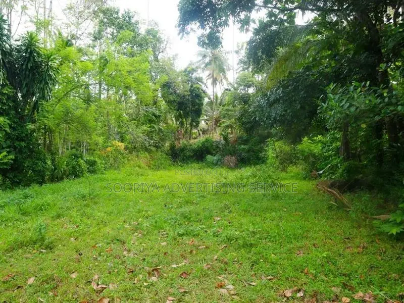 Prime Residential Land for Sale near NSBM