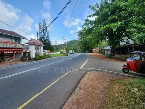 තෝලංගමුව ආදායම් ලබන කුරුඳු වගාවක් සමඟ වටිනා ආයෝජන අවස්ථාවක්!