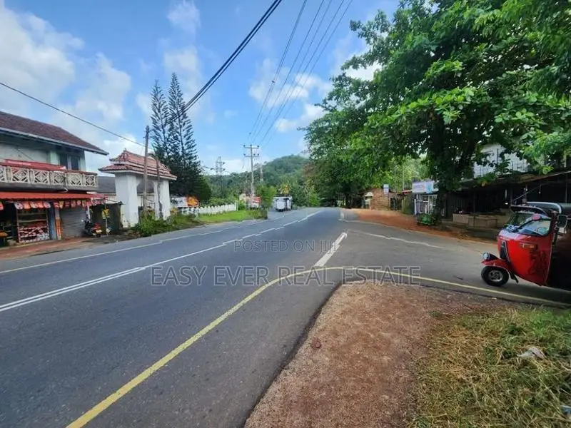 තෝලංගමුව ආදායම් ලබන කුරුඳු වගාවක් සමඟ වටිනා ආයෝජන අවස්ථාවක්!