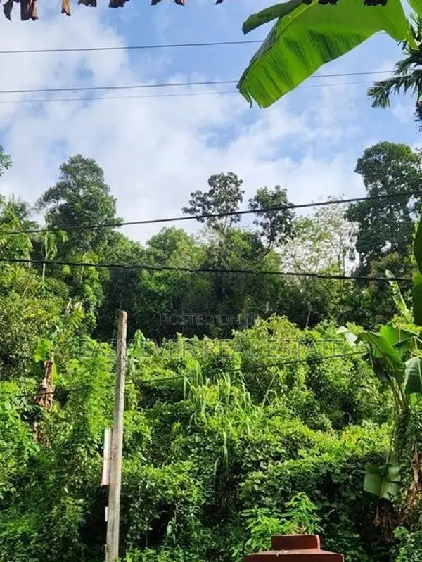 තෝලංගමුව ආදායම් ලබන කුරුඳු වගාවක් සමඟ වටිනා ආයෝජන අවස්ථාවක්!