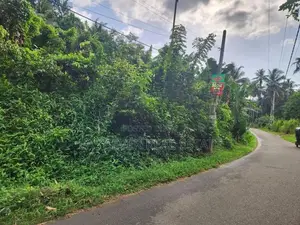 තෝලංගමුව ආදායම් ලබන කුරුඳු වගාවක් සමඟ වටිනා ආයෝජන අවස්ථාවක්!