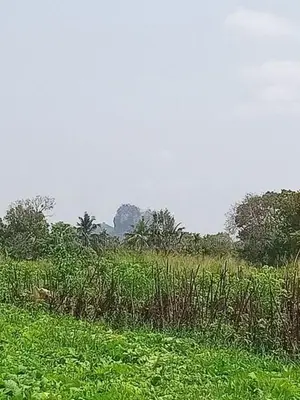 Land for sale in Sigiriya - සීගිරියෙන් ඉඩමක් විකිණීමට