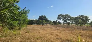 Land for sale in Sigiriya - සීගිරියෙන් ඉඩමක් විකිණීමට