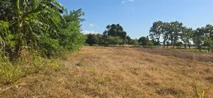 Land for sale in Sigiriya - සීගිරියෙන් ඉඩමක් විකිණීමට