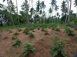Demataluwa – House with 2.4 Acres of Developed Land for Sale