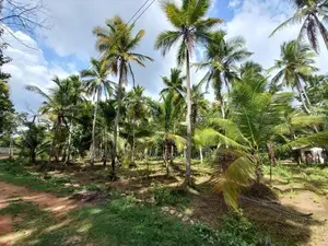 Demataluwa – House with 2.4 Acres of Developed Land for Sale