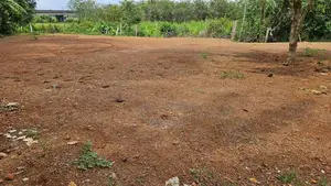 Prime Land Blocks For Sale In Thuduwegedara Ragama