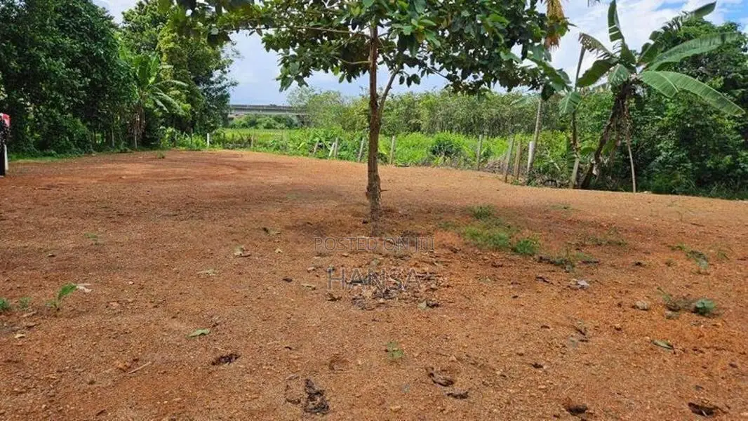 Prime Land Blocks For Sale In Thuduwegedara Ragama
