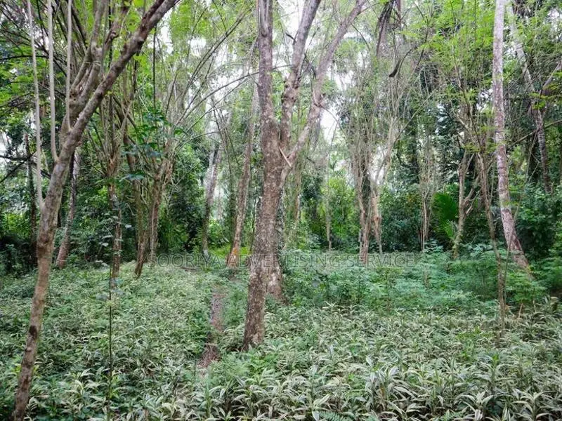 Land for Sale Near Meerigama Divulapitiya