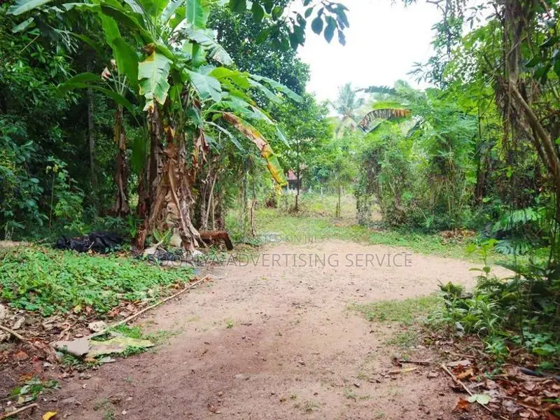 Land for Sale Near Meerigama Divulapitiya