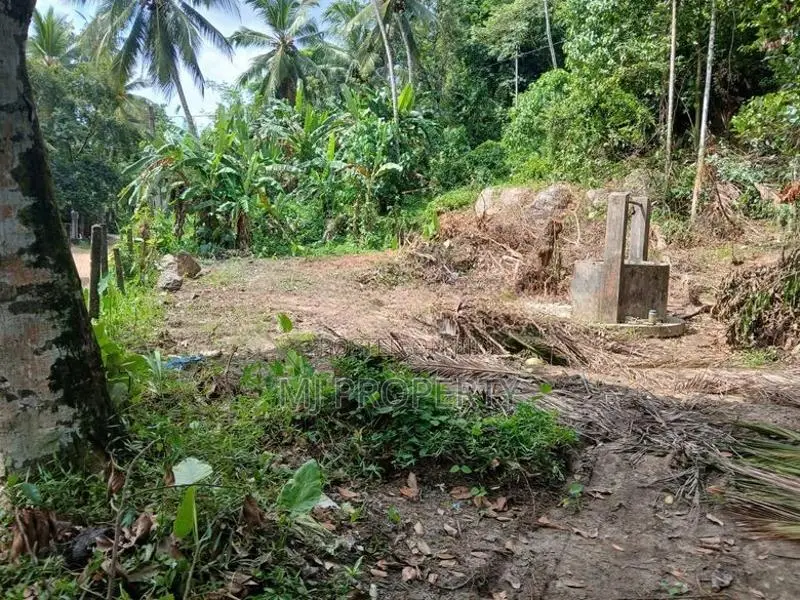 ( TS-1194) ,Valuable Residential Bare Land Sale in Hanwella