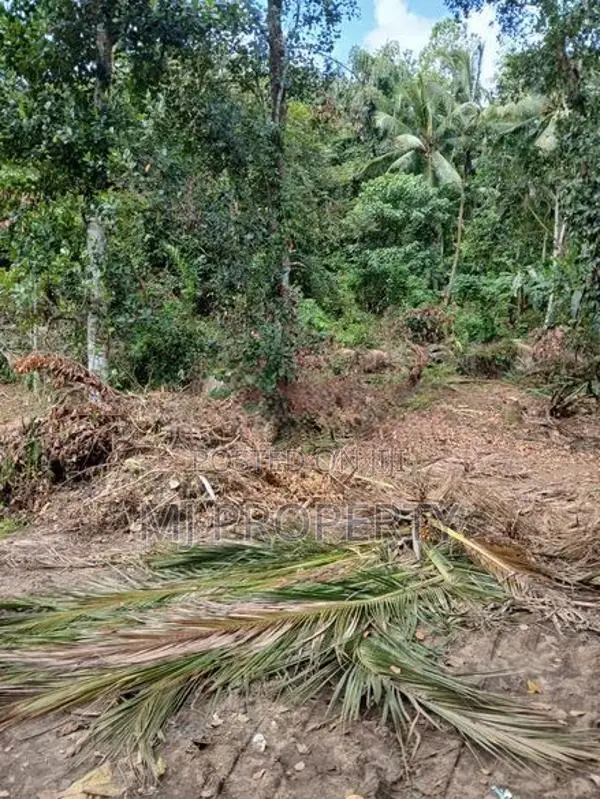 ( TS-1194) ,Valuable Residential Bare Land Sale in Hanwella
