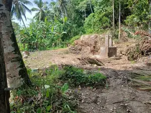 ( TS-1194) ,Valuable Residential Bare Land Sale in Hanwella