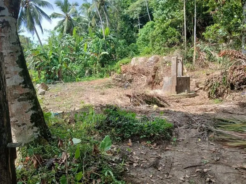 ( TS-1194) ,Valuable Residential Bare Land Sale in Hanwella