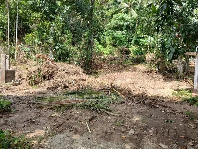 ( TS-1194) ,Valuable Residential Bare Land Sale in Hanwella