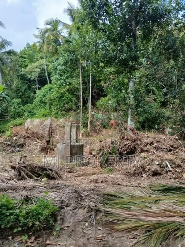 ( TS-1194) ,Valuable Residential Bare Land Sale in Hanwella