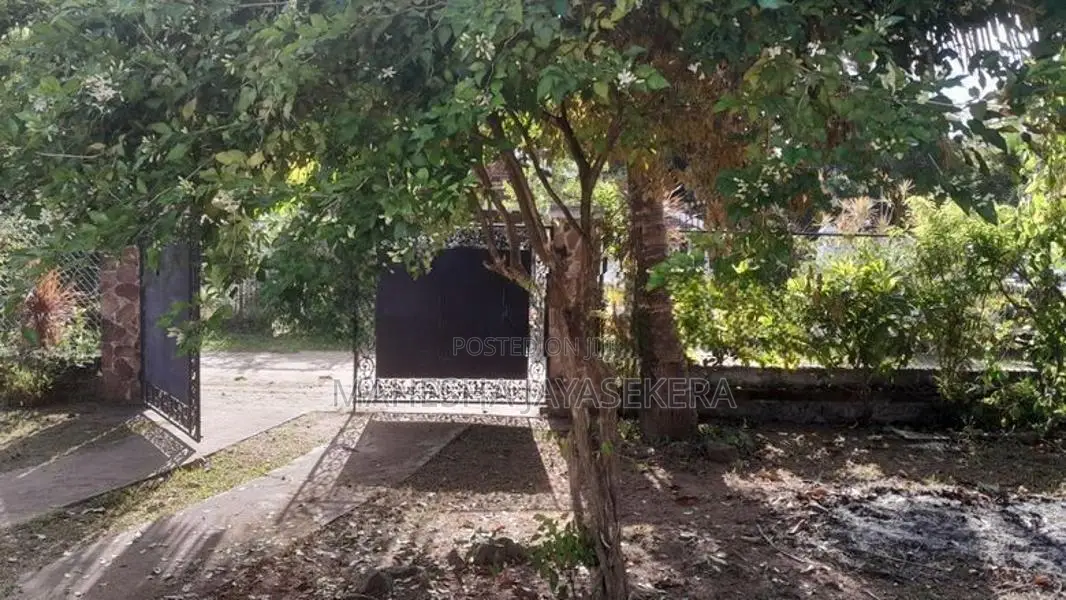 Valuable House with Land for Sale