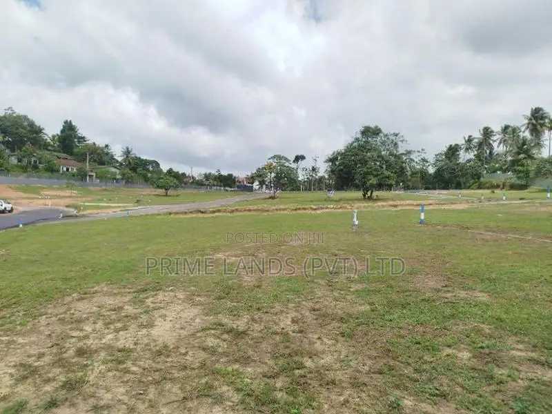 තලගල බෙරුකැටිය බිම් කොටස් විකිණීමට ..