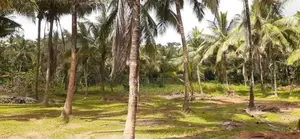 කුරුණෑගල නගරයට ළගින්ම ඉඩමක්