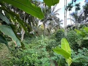 Land for Sale in Ahangama Imaduwa Main Road