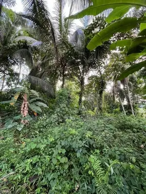 Land for Sale in Ahangama Imaduwa Main Road