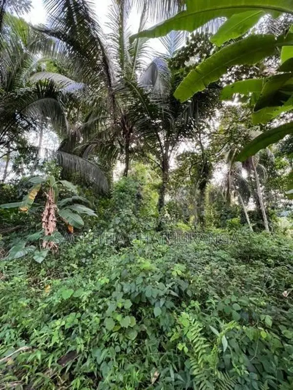 Land for Sale in Ahangama Imaduwa Main Road