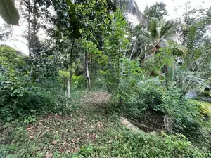 Land for Sale in Ahangama Imaduwa Main Road