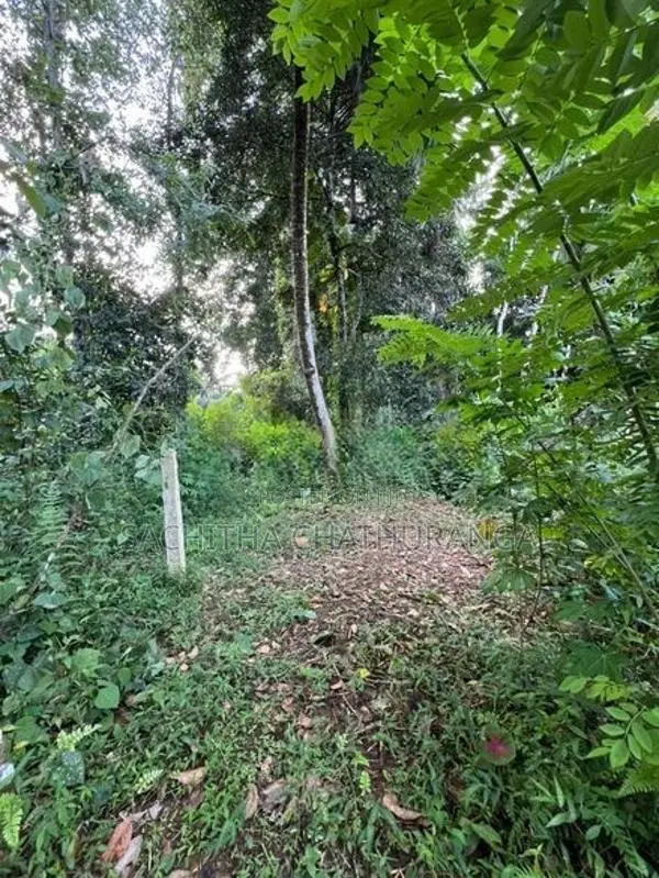 Land for Sale in Ahangama Imaduwa Main Road