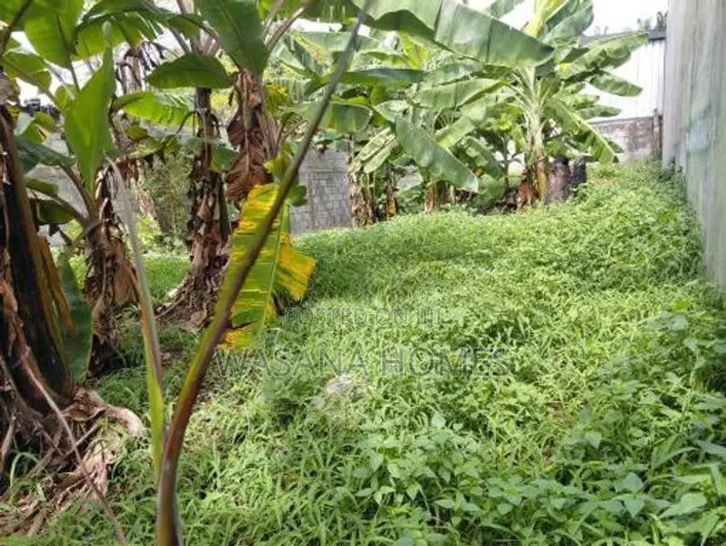 Stunning Land for Sale Talawathugoda
