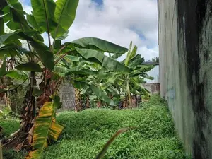 Stunning Land for Sale Talawathugoda